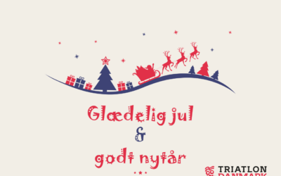 Jule- og nytårshilsen: 2025 – et år med fremdrift